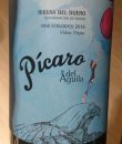 P&iacute;caro