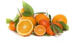 naranjas, ribera del jucar