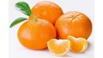 naranjas, ribera del jucar