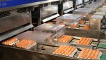 Instalaciones de Av&iacute;cola Gorrotxategi / Pitas Pitas