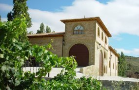 Bodega Torre San Mill&aacute;n