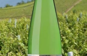 Botella de Txakoli Ameztoi