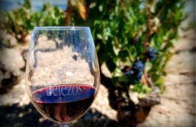 vino Belezos