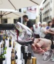 Vinofest Navarra