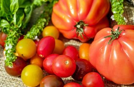Clase de tomate para cada receta