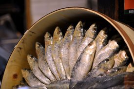 Unas sardinas en salazón