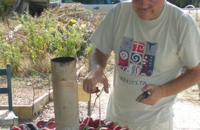 Guillermo Vilaboa