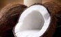 &iexcl;Consume coco!