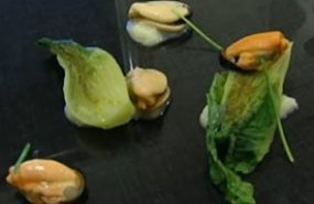 Cogollos con vinagreta y mejillones