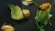 Cogollos con vinagreta y mejillones