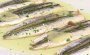 Anchoas marinadas