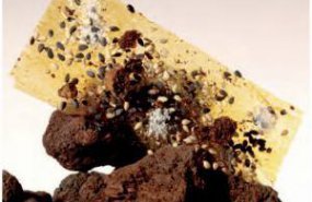 Galleta de Osaka de Ferran Adrià